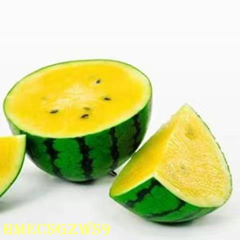 Hạt giống dưa hấu kỳ lân dễ nuôi Gieo hạt bốn mùa Quả siêu ngọt 10H