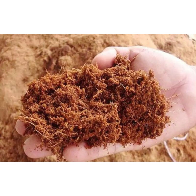 1kg Mụn Dừa, Sơ DừaTrồng Ươm Cây