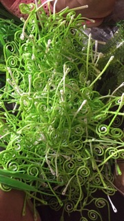 Cỏ cân thanh lý 100k/kg