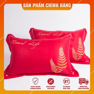 [FREESHIP - HÀNG SIÊU CẤP] Đôi Vỏ Gối Lụa Tencel 100% Cao Cấp _ Vỏ Gối Đầu Lụa Tencel Siêu Cao Cấp FELIZAR Size 45x65 cm