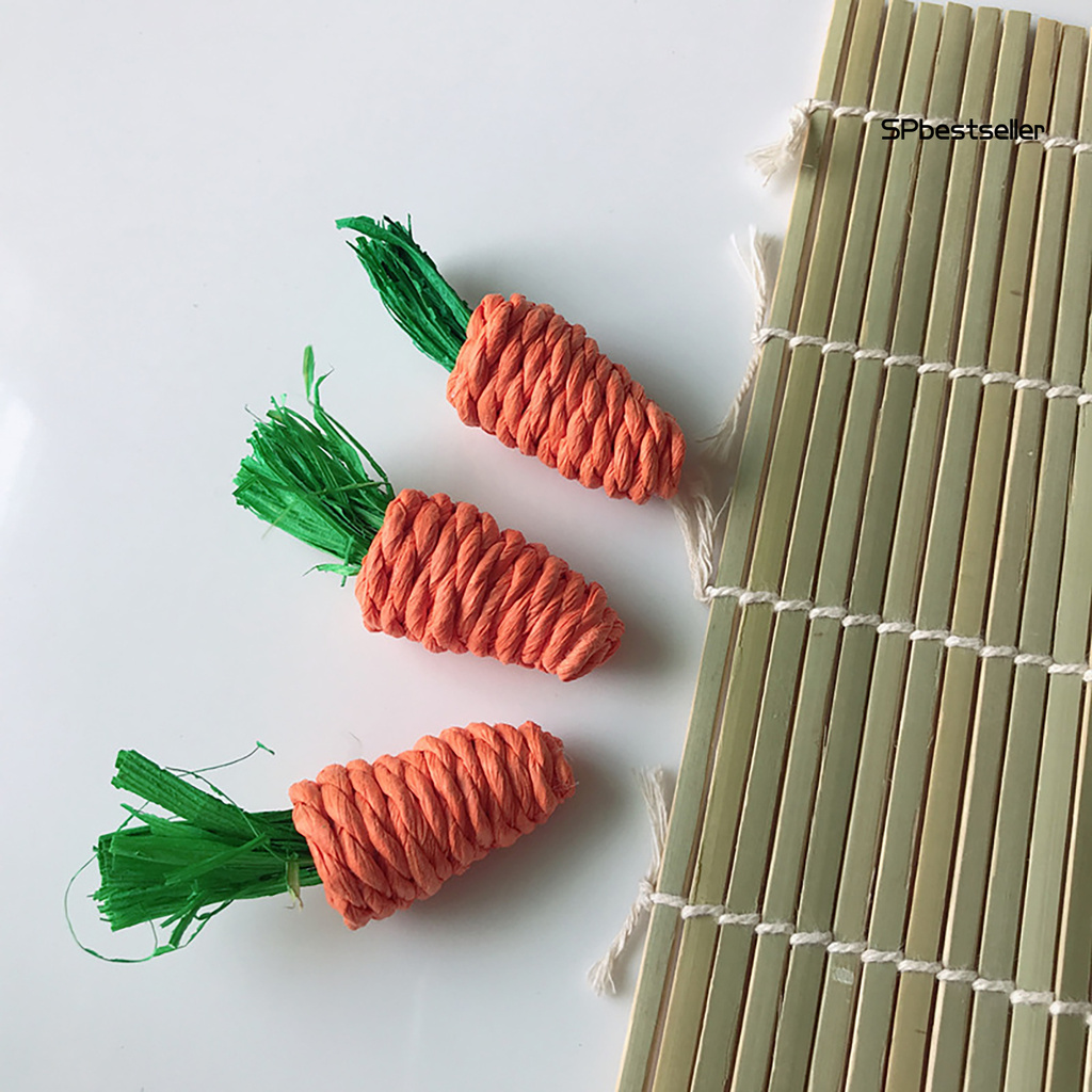 3 Cà Rốt Đồ Chơi Cho Thú Cưng
