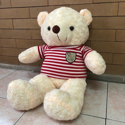 GẤU BÔNG TEDDY CAO CẤP KHỔ VẢI 50CM MÀU KEM