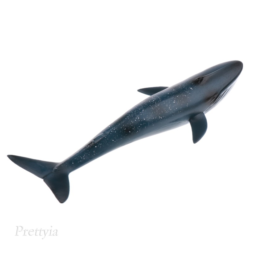 WHALE Mô Hình Đồ Chơi Cá Voi Xanh Bằng Nhựa 22cm