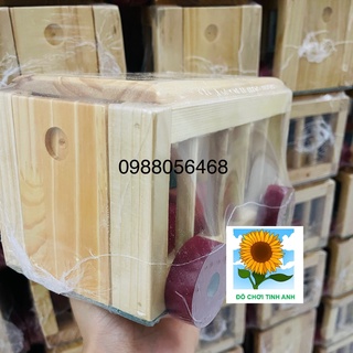 Đồ chơi gỗ xe cũi thả hình (có hình ảnh thật rõ nét)