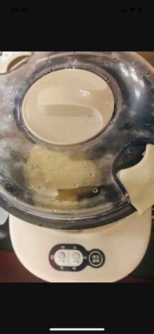 Máy Trộn Và Ủ Bột Bear 3.5L (mẫu mới )