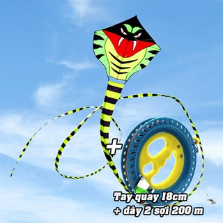 DIỀU RẮN HỔ 15M