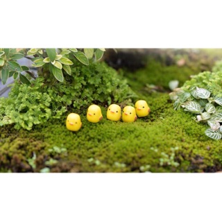 Gà con mini trang trí tiểu cảnh terarium | tượng trang trí chậu sen đá-sân vườn