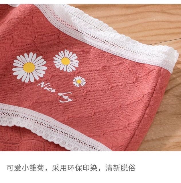 Sỉ 10 Quần Lót Hình Hoa Cúc Siêu Đẹp | BigBuy360 - bigbuy360.vn