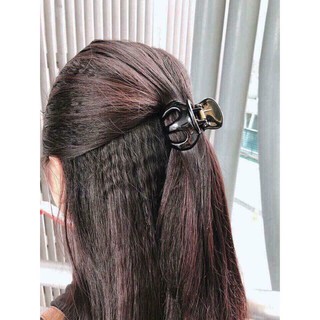 Cặp tóc càng cua thái lan loại to