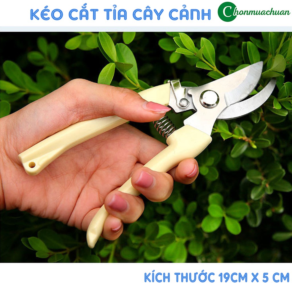 Kéo Cắt Cây Cảnh - Kìm Tỉa Bấm Cây Siêu Bén