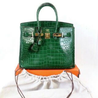 Susushop1 - Túi xách Hermes vân da rắn