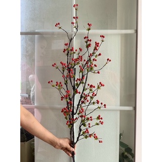 Cành cherry -Cắm điểm bình hoa mộc lan