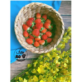 Rổ lục bình thủ công tròn không quai rẻ, đẹp
