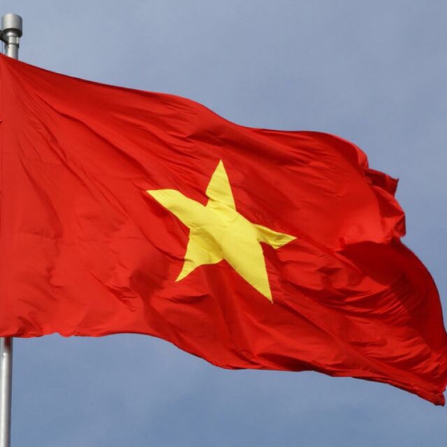120 cờ Tổ Quốc + 100 cờ Đảng