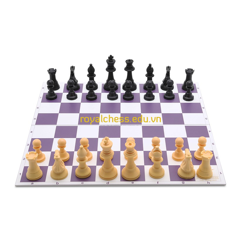 Bộ cờ vua tiêu chuẩn thi đấu YB  ROYALCHESS Bàn 40cm*41cm