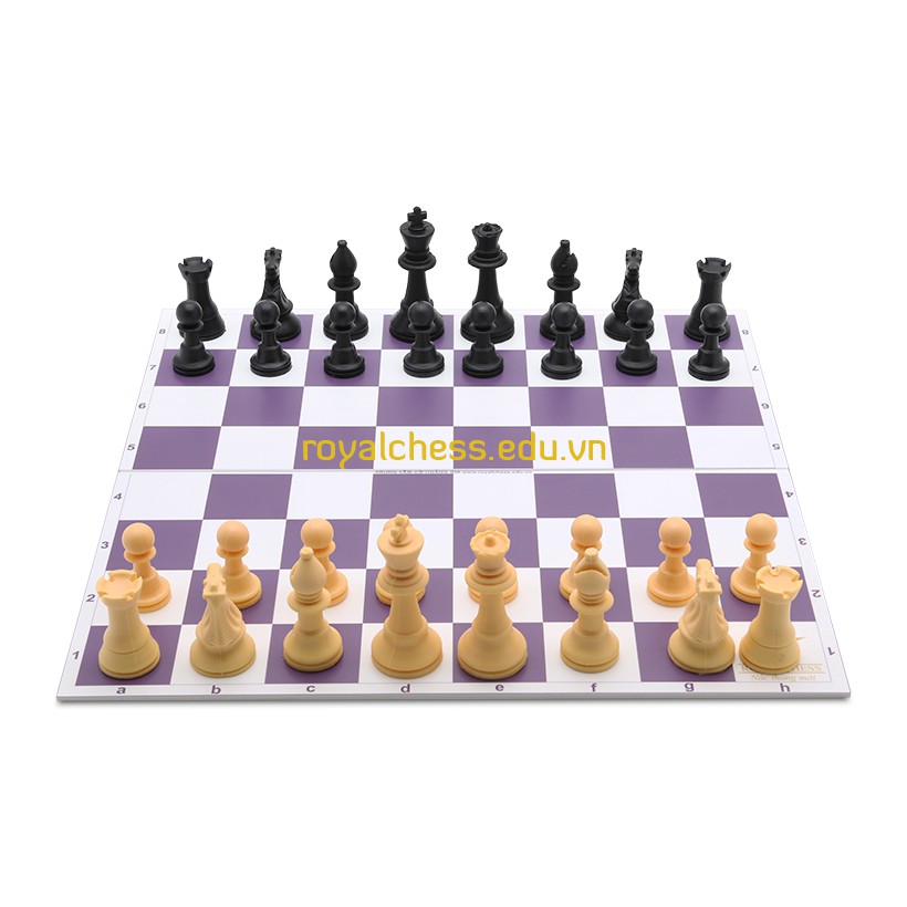 Bộ cờ vua tiêu chuẩn thi đấu YB (Bàn format) ROYALCHESS Bàn 40cm*41cm