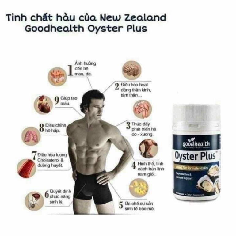 Hàu Cao oyster plus 60 viên