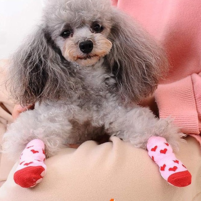 ✿✌► Giày chống trượt cho thú cưng