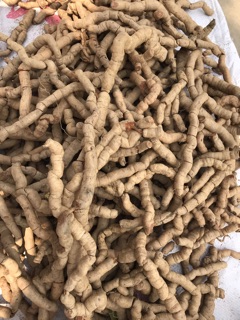 BA KÍCH TÍM QUẢNG NINH ( hộp 1kg ngâm rượu)