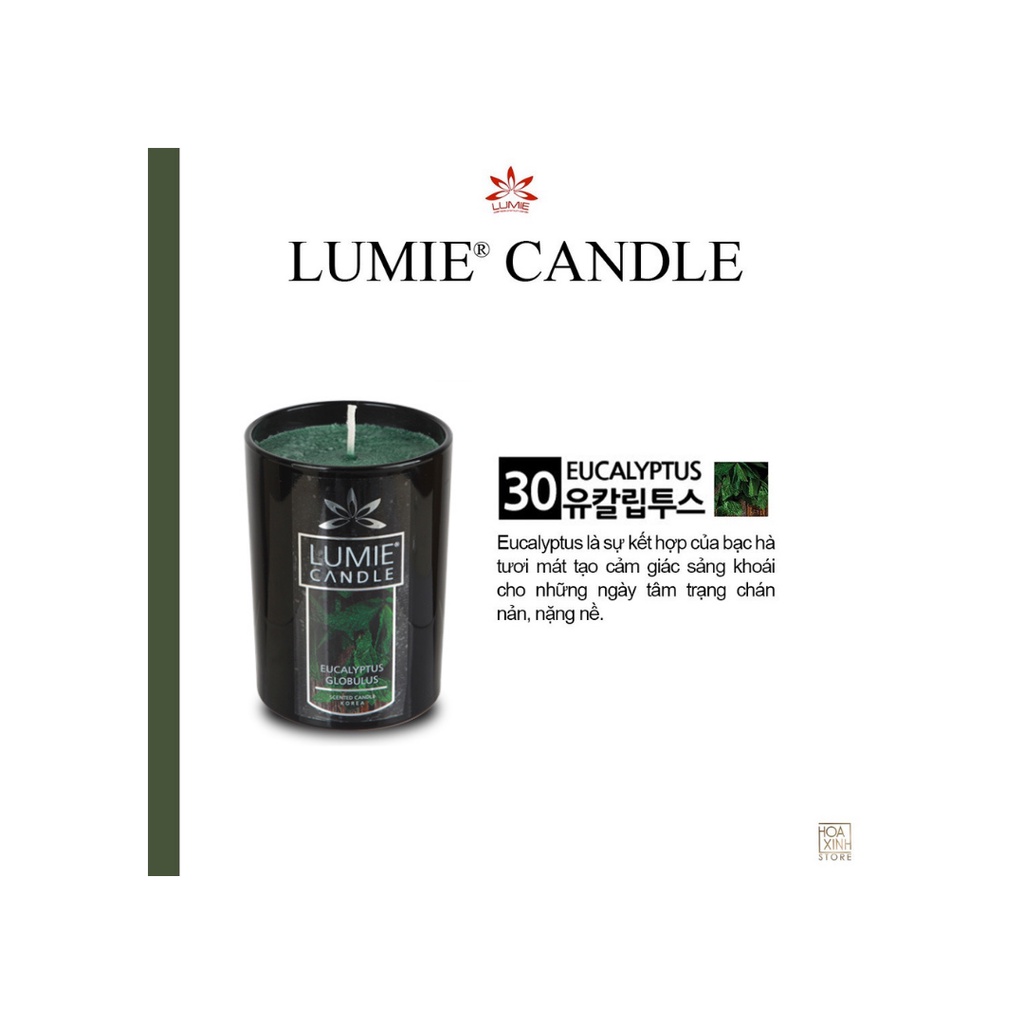 Nến Ly Thơm Cao Cấp Hàn Quốc LUMIE CANDLE Size M 270g - Phiên bản giới hạn