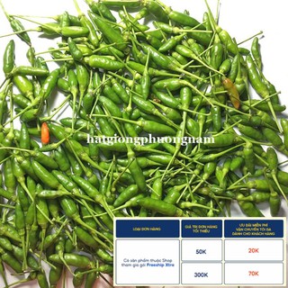 50H - HẠT GIỐNG ỚT XIÊM