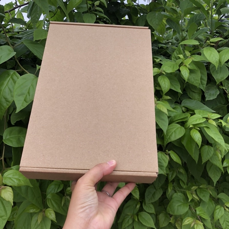 30x20x5 hộp carton nắp gài