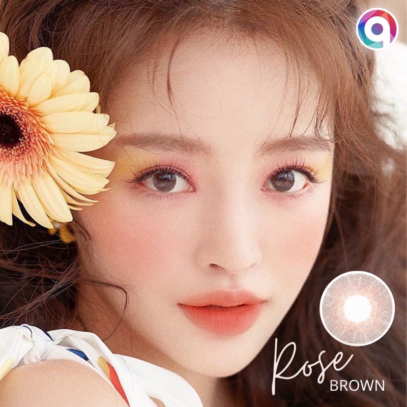 Kính áp tròng QUỲNH LENS rose brown 0-8 độ