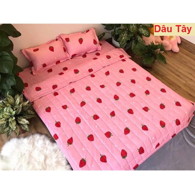 (Flash Sale) Mền trần bông gòn 3 lớp Mẫu Bơ Xanh poly cotton, chăn hè siêu nhẹ thấm hút tốt - Bông sạch