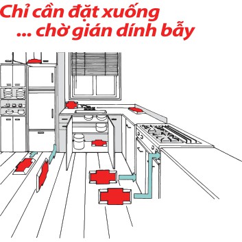 Bẫy Gián Dính Hoi-Hoi  - Hộp 3 bẫy