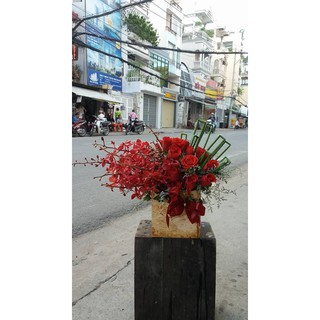 Set làm hoa lan Mokara
