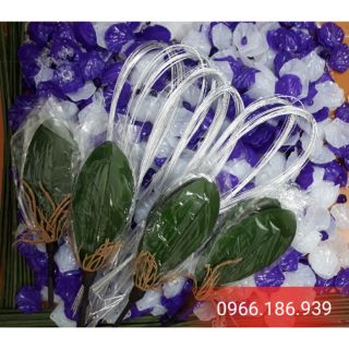 Combo và phụ kiện hoa, bình hoa.