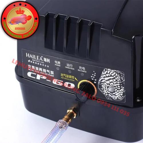 Máy Sủi Tích Điện Hồ Cá Hailea CP60 (80W-60Lít/Phút) -  Kèm Phụ Kiện 10 Mét Dây 5Li  + 10 Cục Sủi Oxy