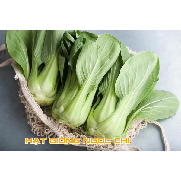 Hạt Giống Rau Cải Chíp (Cải Chít, Cải Thìa) - 20Gr~4000 Hạt