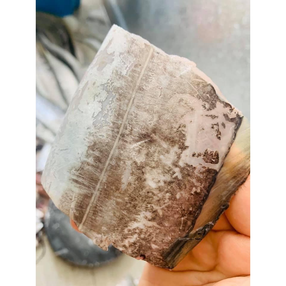 Cá hố hàng loại 1 trắng khay 500g