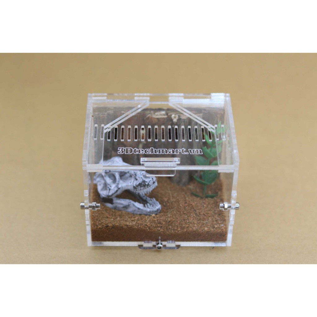 Hộp nuôi Nhện Sling - 10 8 8cm (tank sling)