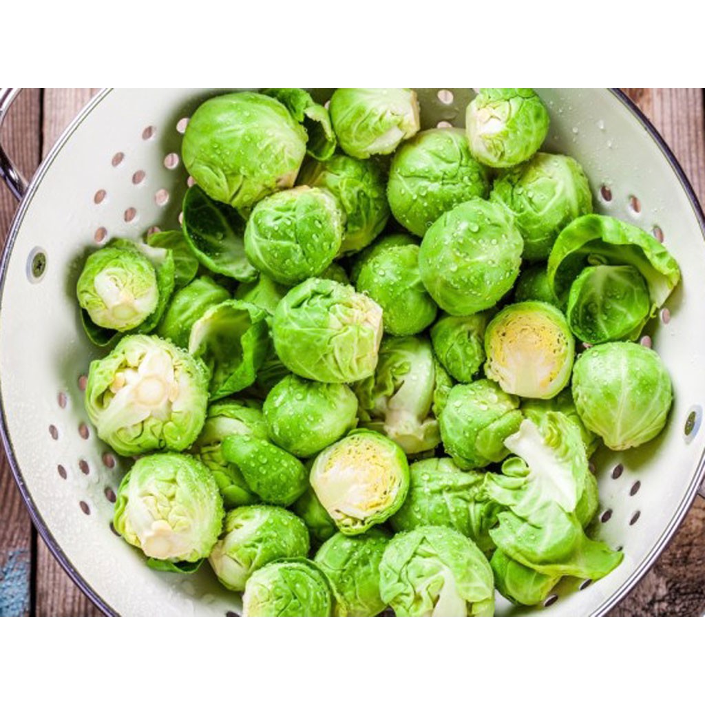 Hạt giống bắp cải tí hon