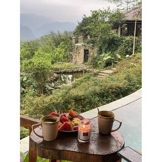 Nến thơm CandleCup- Mùi Forest- 100gr