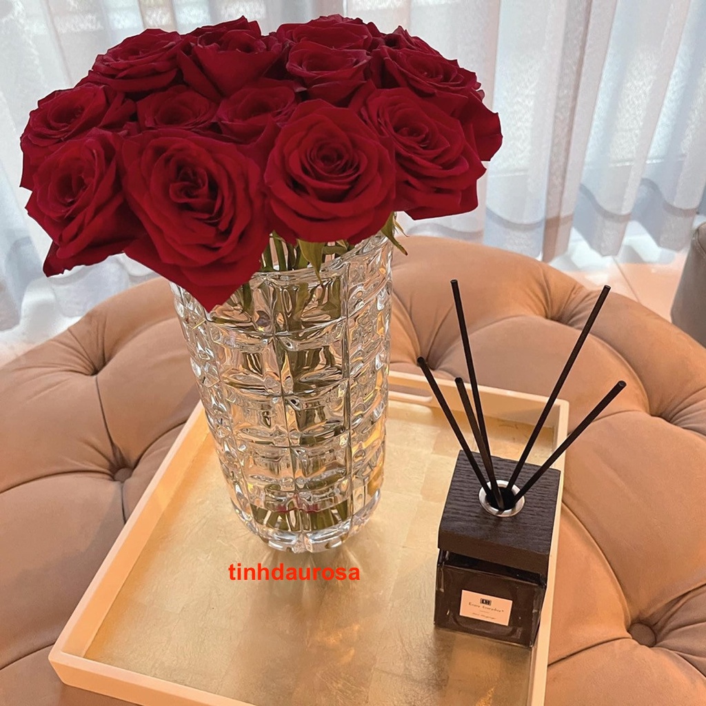 [CHÍNH HÃNG] Tinh dầu nước hoa khuếch tán thơm phòng cao cấp Enjoy Everyday, Reed Diffuser, kèm theo que