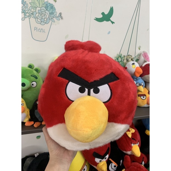 Gấu bông angry bird