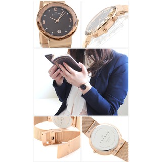 Đồng hồ Skagen nữ SKW2130