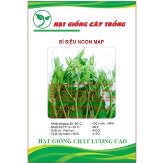 Hạt giống bi ngọn ct06- gói 5gram
