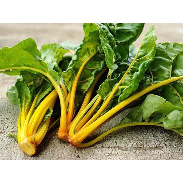 Hạt giống cải cầu vồng - yellow sweet chart