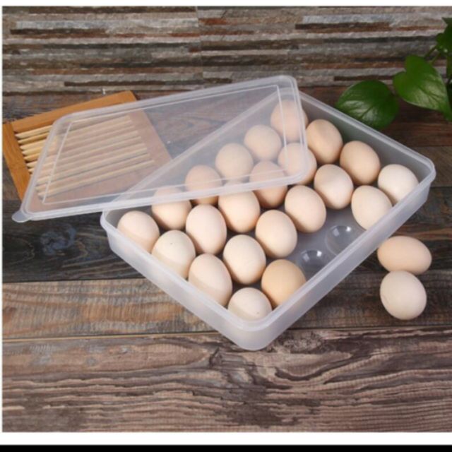 Khay Đựng Trứng EGGS STOREa 24 Ô Siêu To Chất Liệu Nhựa Cao Cấp