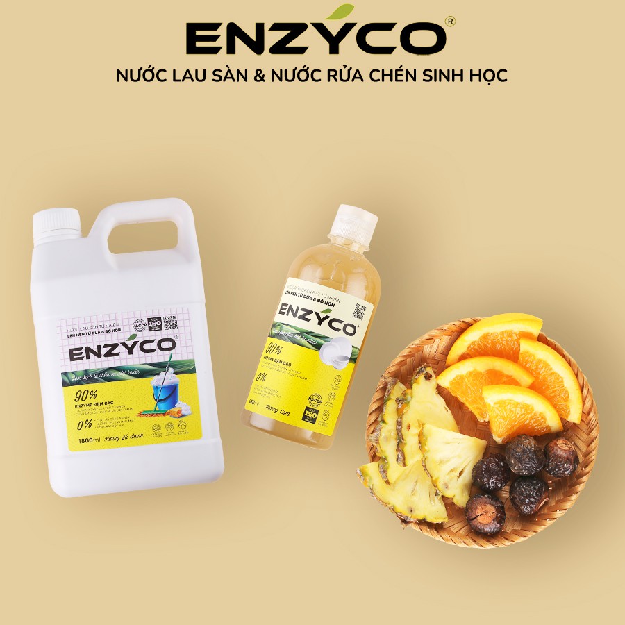 Combo Nước Lau Sàn Và Nước Rửa Chén Sinh Học ENZYCO 90% Enzyme Từ Dứa Và Bồ Hòn An Toàn 손 세정제 Dishwashing liquid