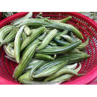 Hạt giống quả lặc lè gói 10 hạt