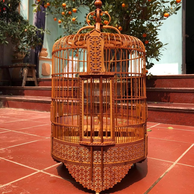 Mi đục chiện