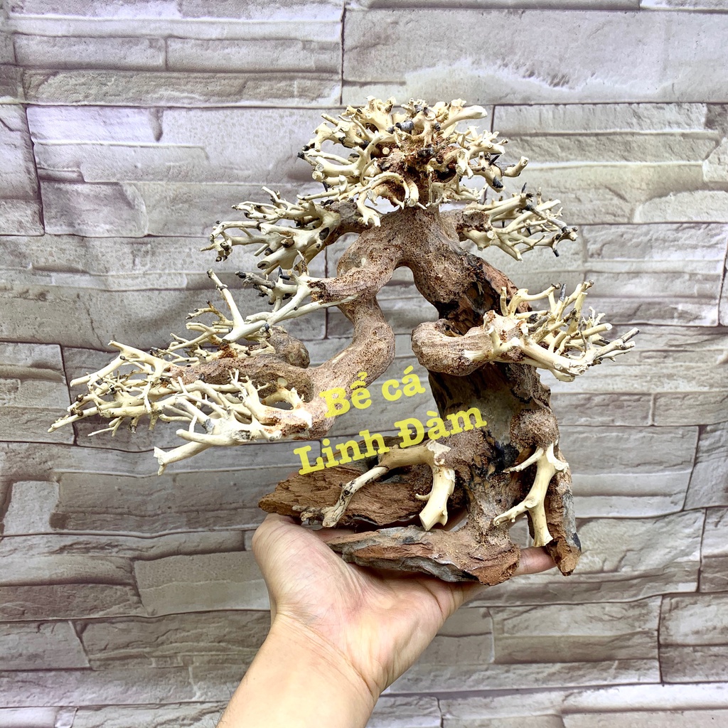 Lũa Bonsai Trang Trí Bể Cá Thủy Sinh, Bể Cá Cảnh