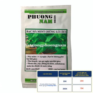 100H - HẠT GIỐNG RAU BẠC HÀ MINT