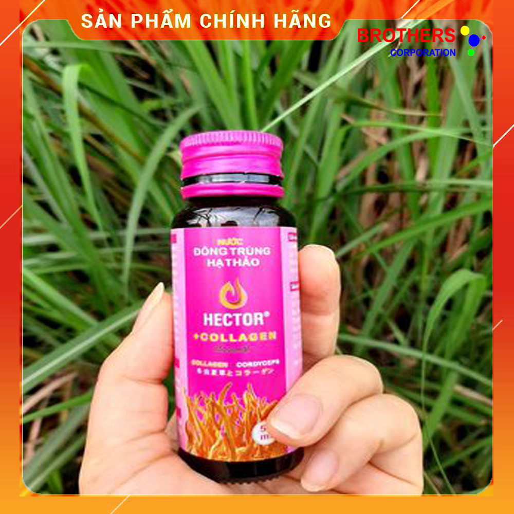 [Chính hãng] Nước Đông Trùng Hạ Thảo Hector Collagen (Hộp 10 chai x 50ml)