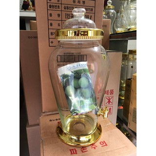 Bình ngâm rượu hình sâm Hàn Quốc 10,5 lít